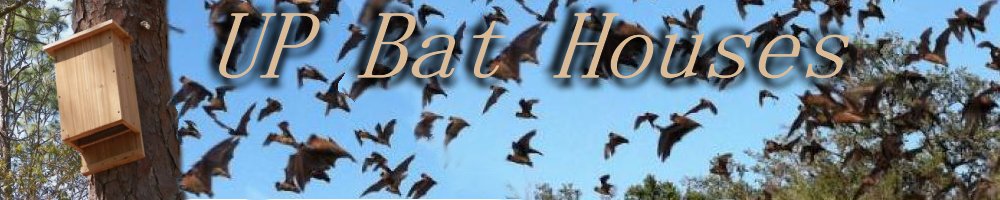 UP Bat Houses